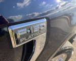 Image #9 of 2021 Ford F-150 Platinum